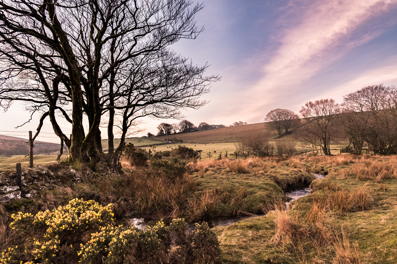 Beautiful Dartmoor