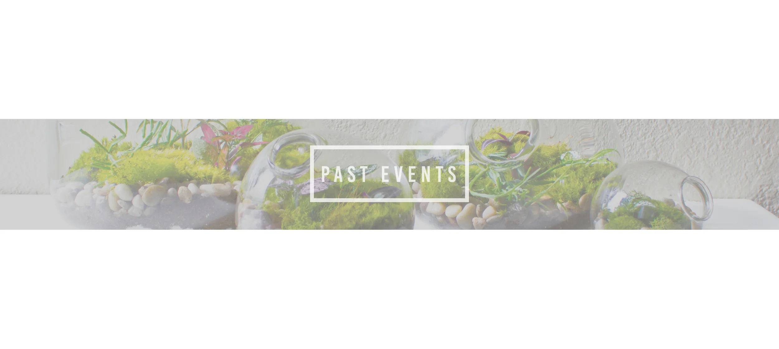 BIG past Events header.jpg