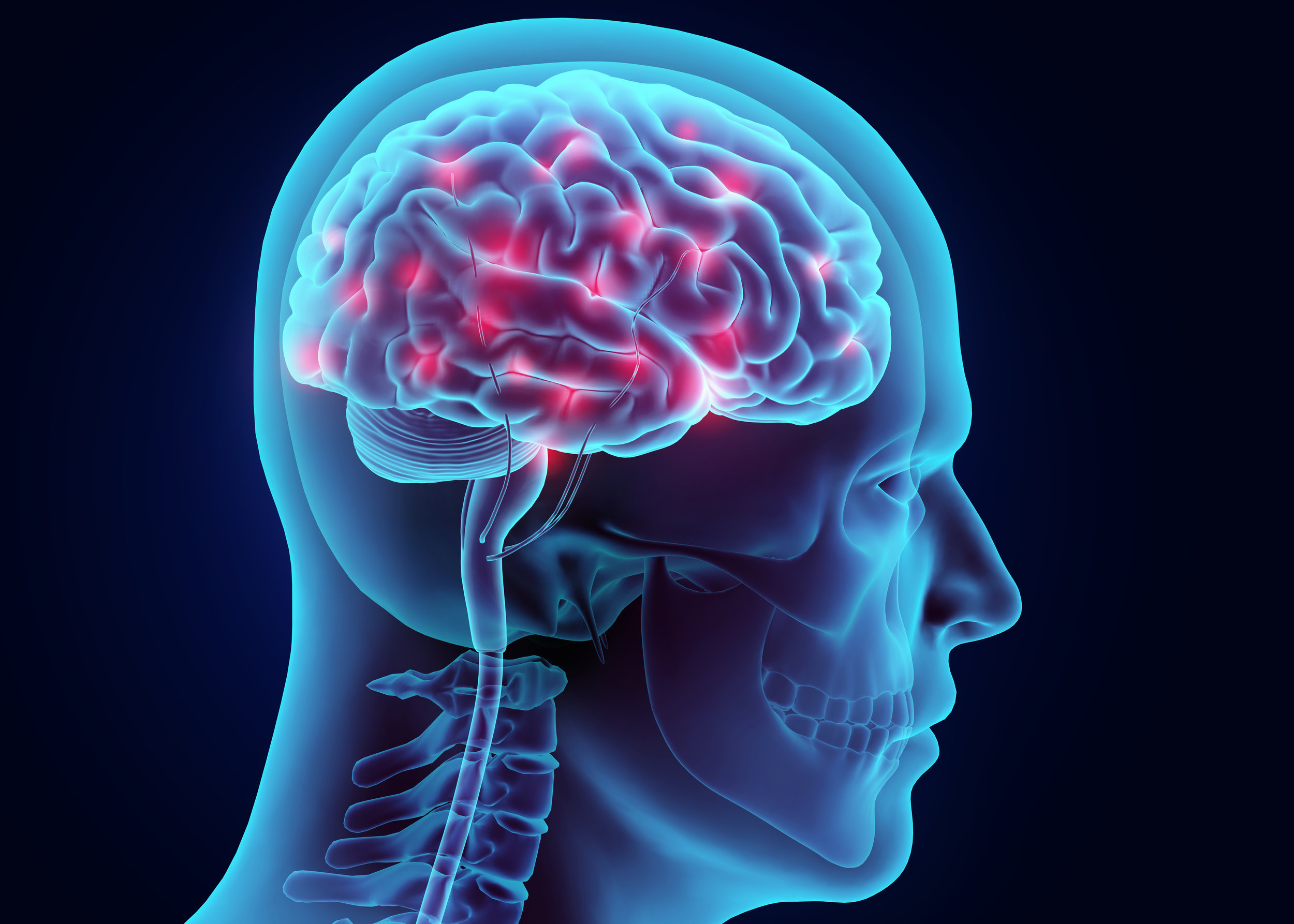 brainneurons.jpeg