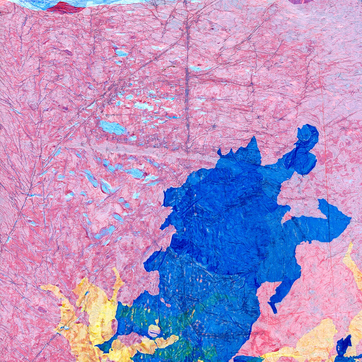 plasticlandscape002R.jpg