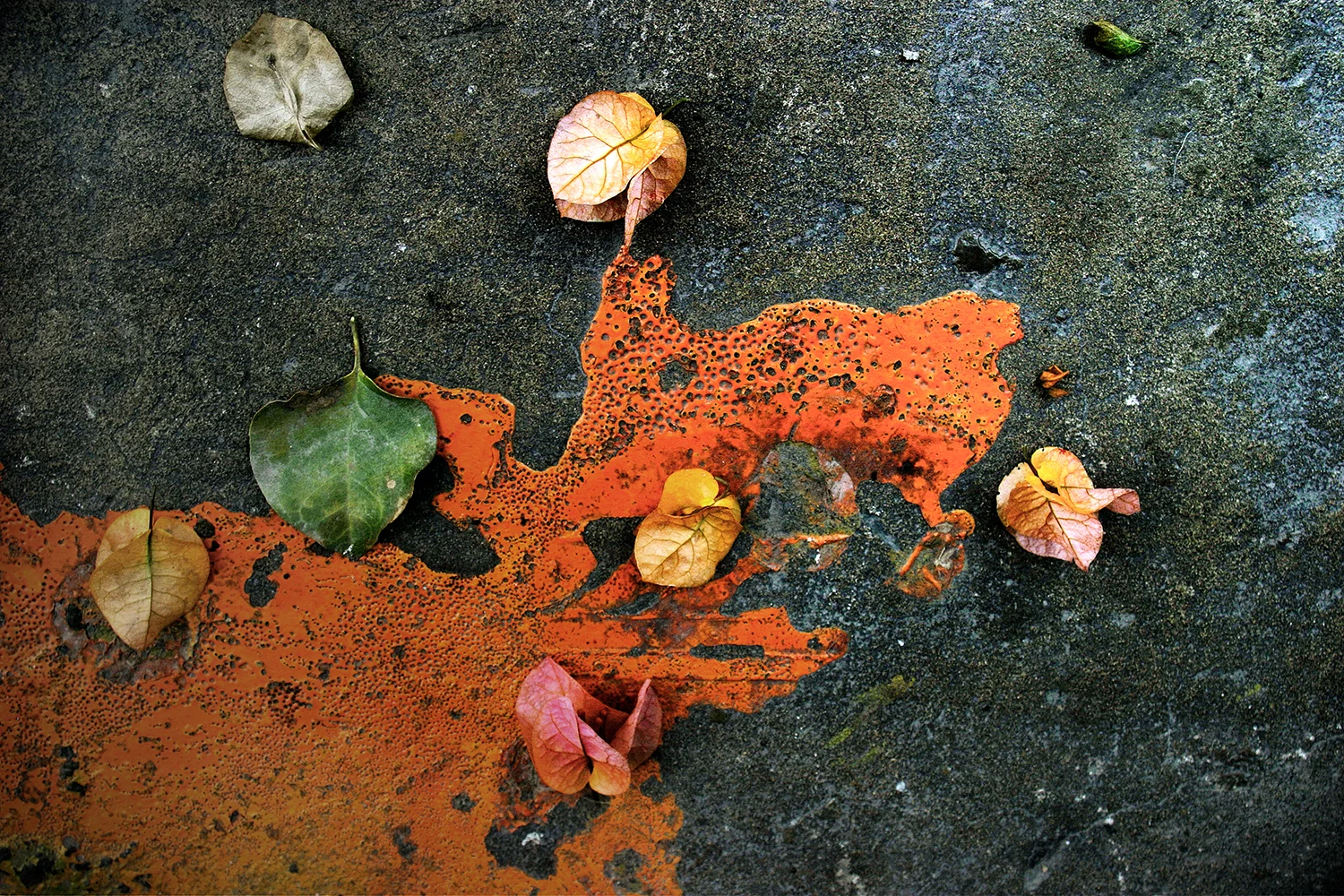 Naranja 2, 2006