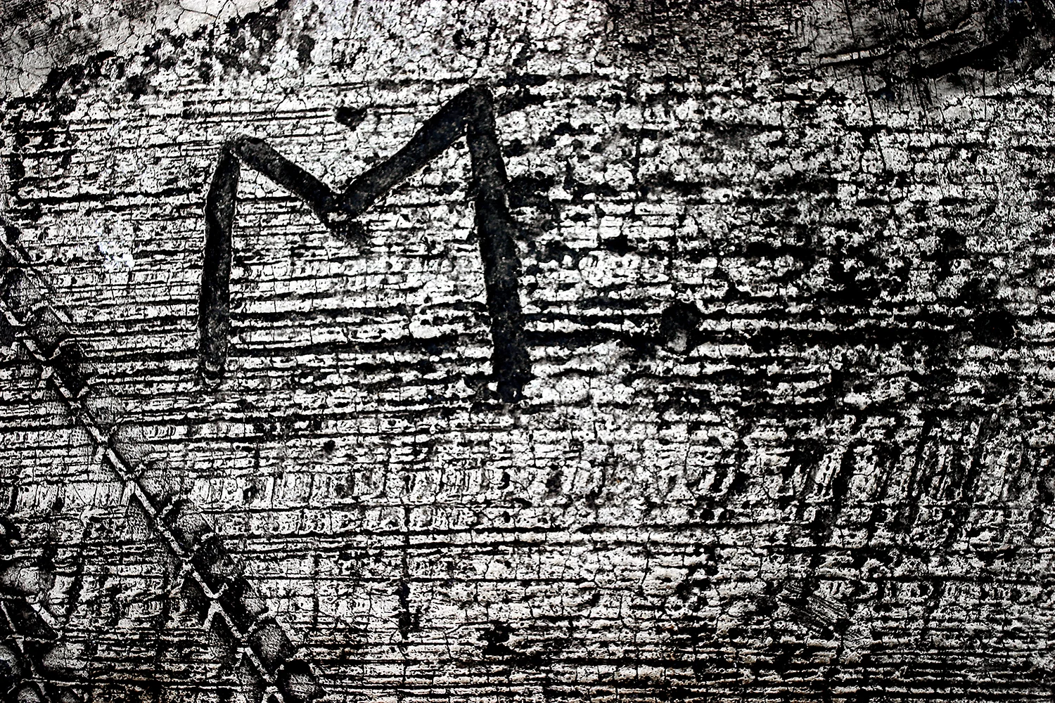 BW 4, 2006