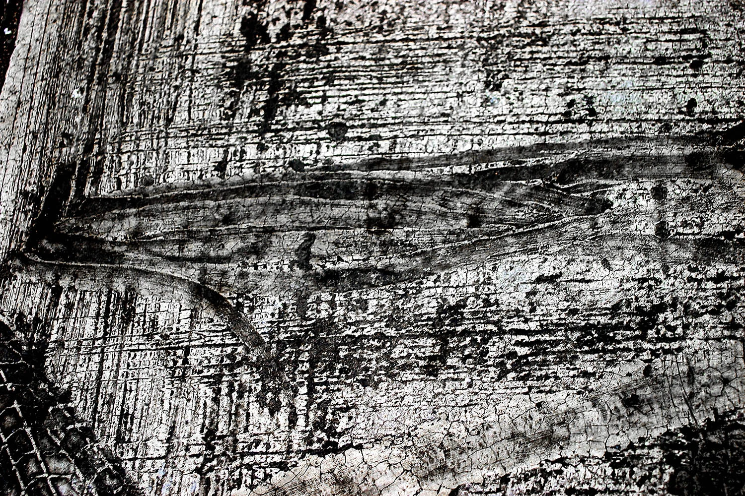 BW 4, 2006