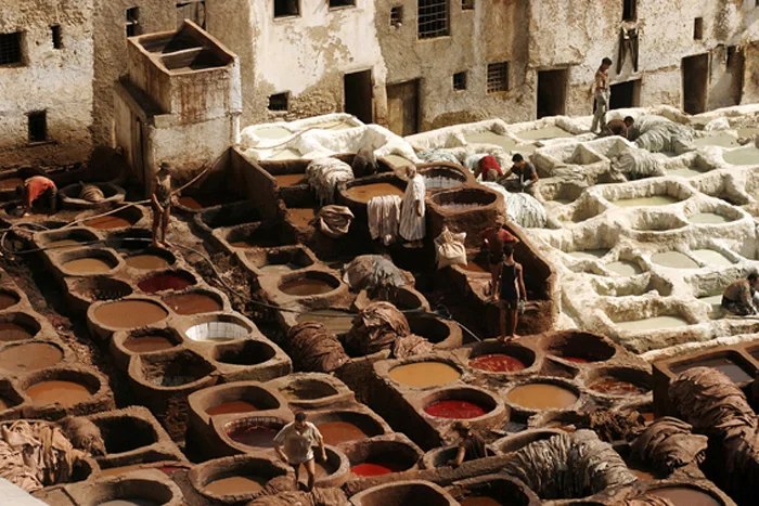 Fez, 2006