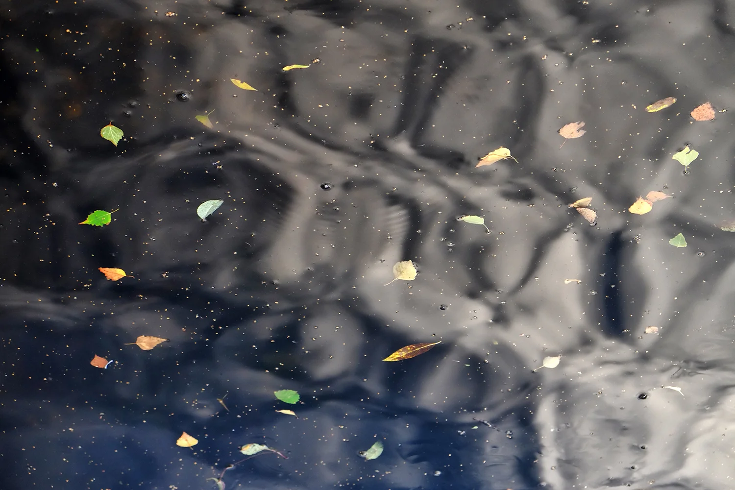 Abstractos03.jpg