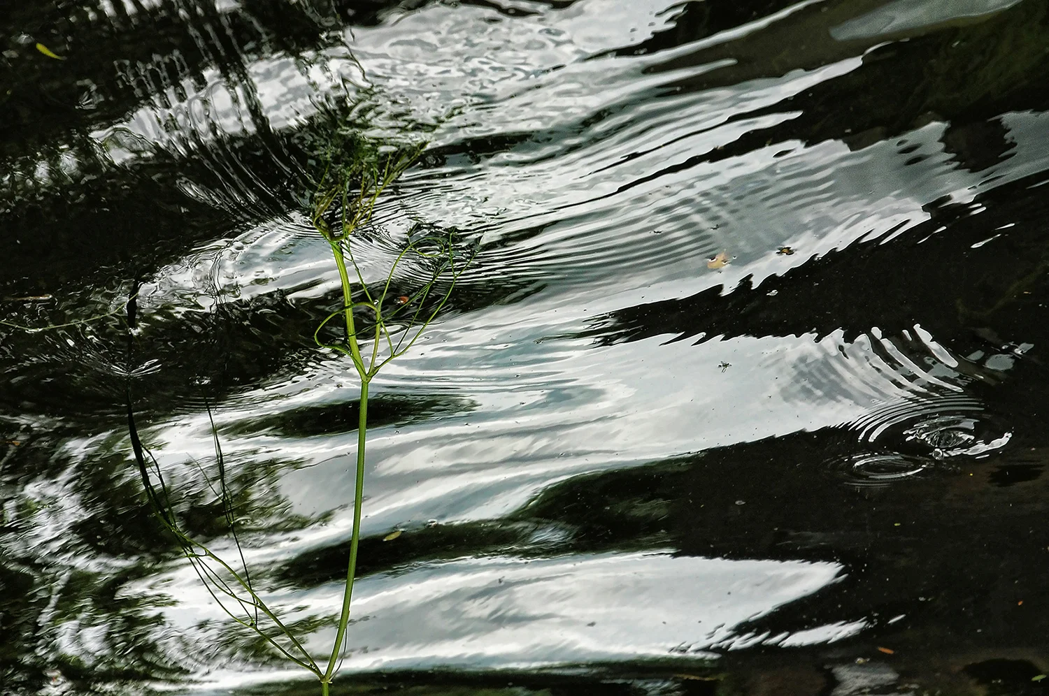 Abstractos22.jpg