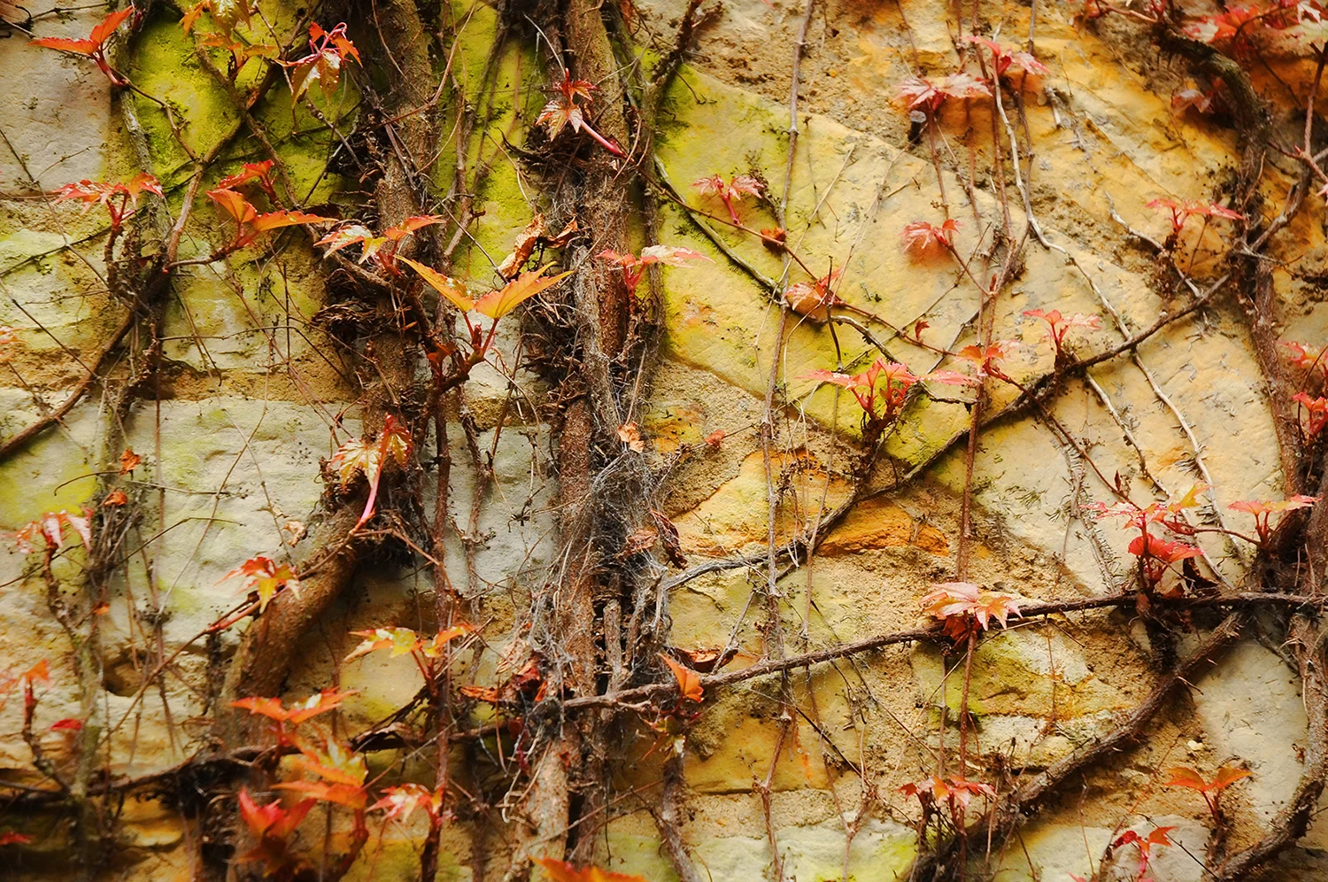 Abstractos24.jpg
