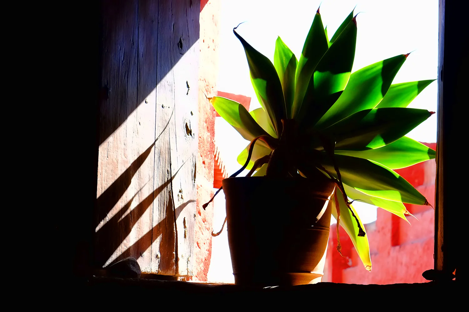 Abstractos36.jpg
