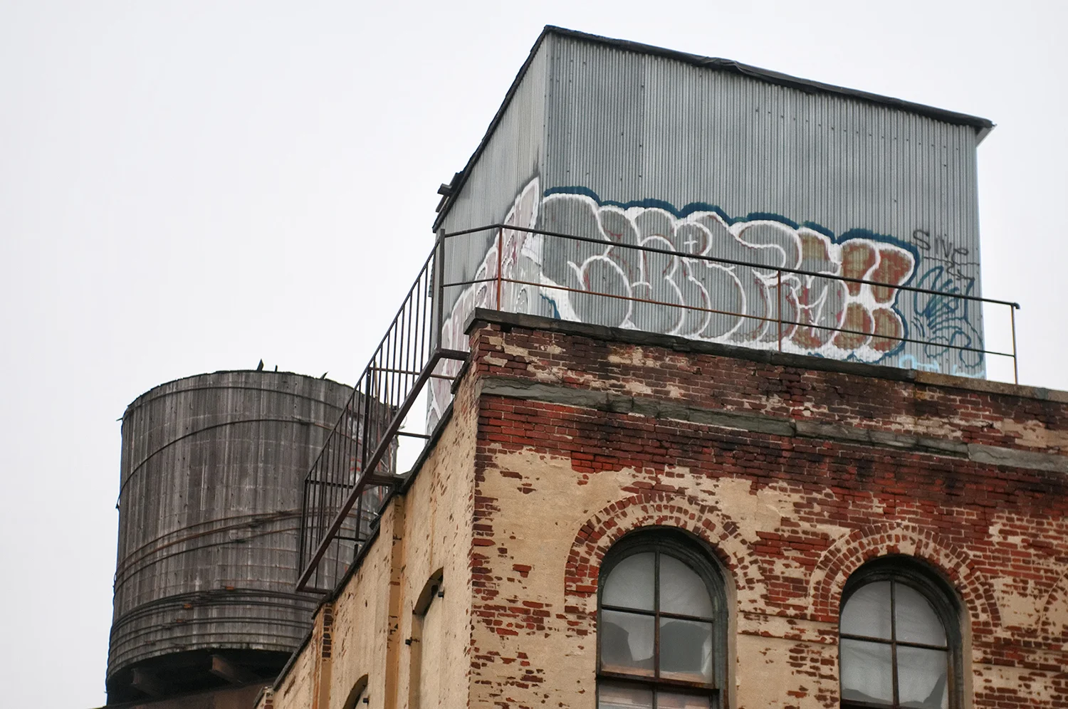 NY.