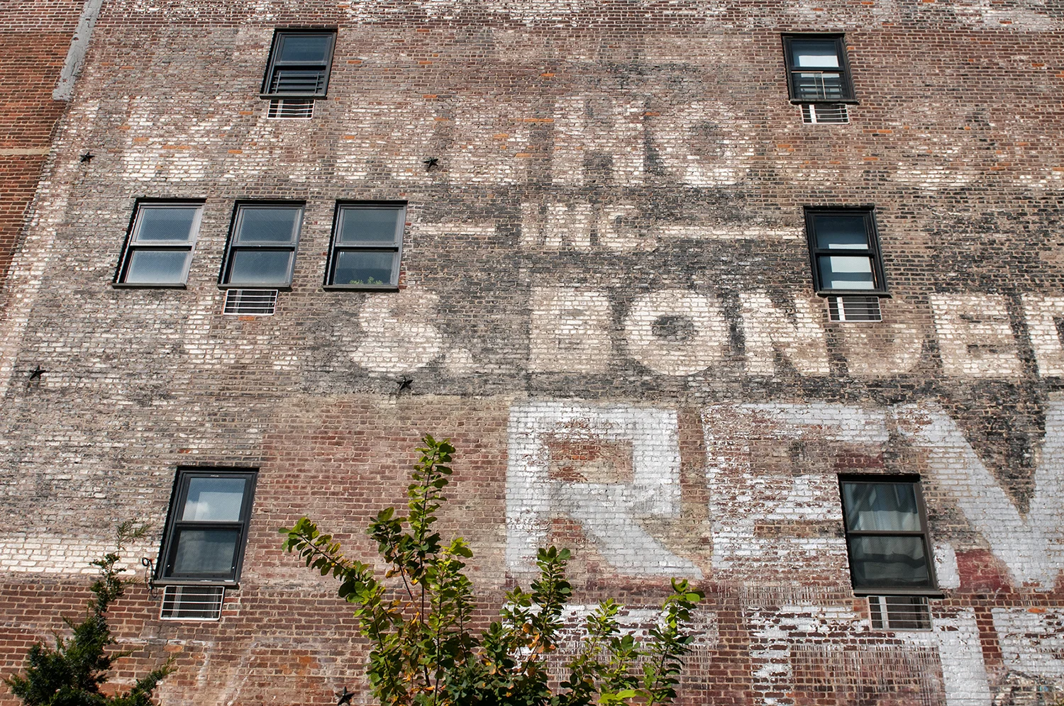 NY.