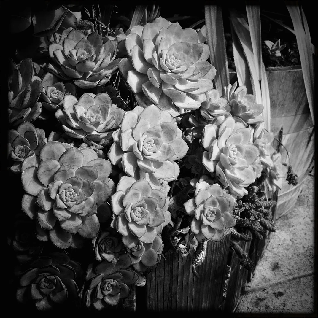 ©RaoulOllman-www.rollmansf.com-bw-iPhoneography-0015.jpg