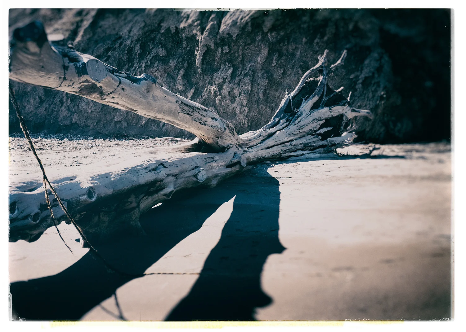 ©RaoulOllman-www.rollmansf.com-Bolinas-00016.jpg