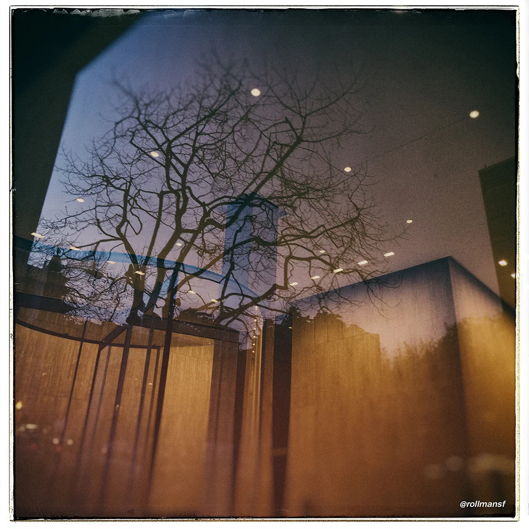 DSCF4385.jpg
