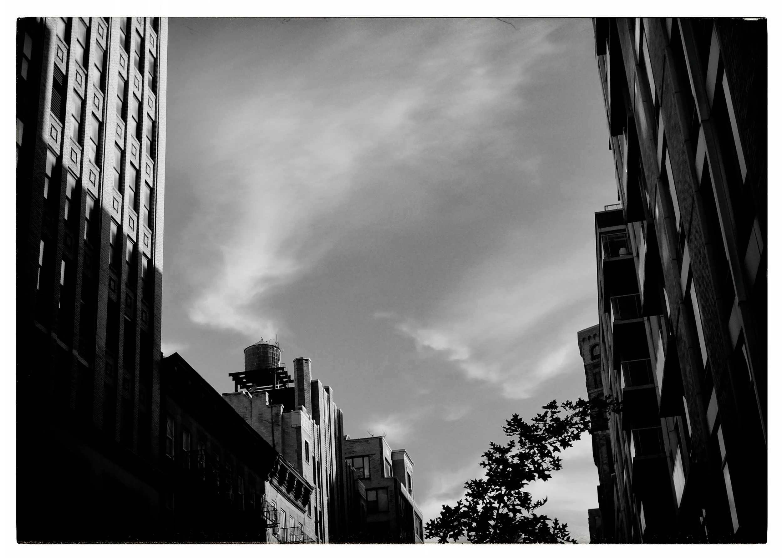 _DSF0688.jpg