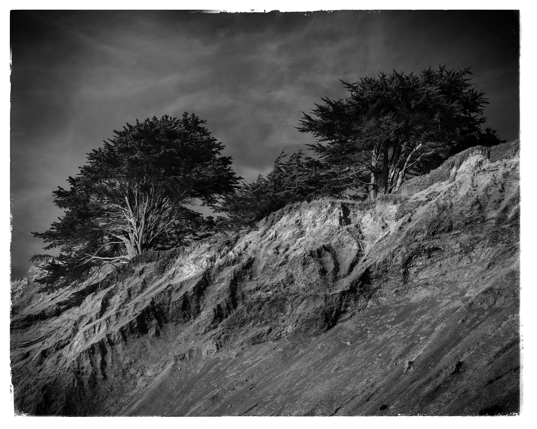 _DSF7830-bw.jpg