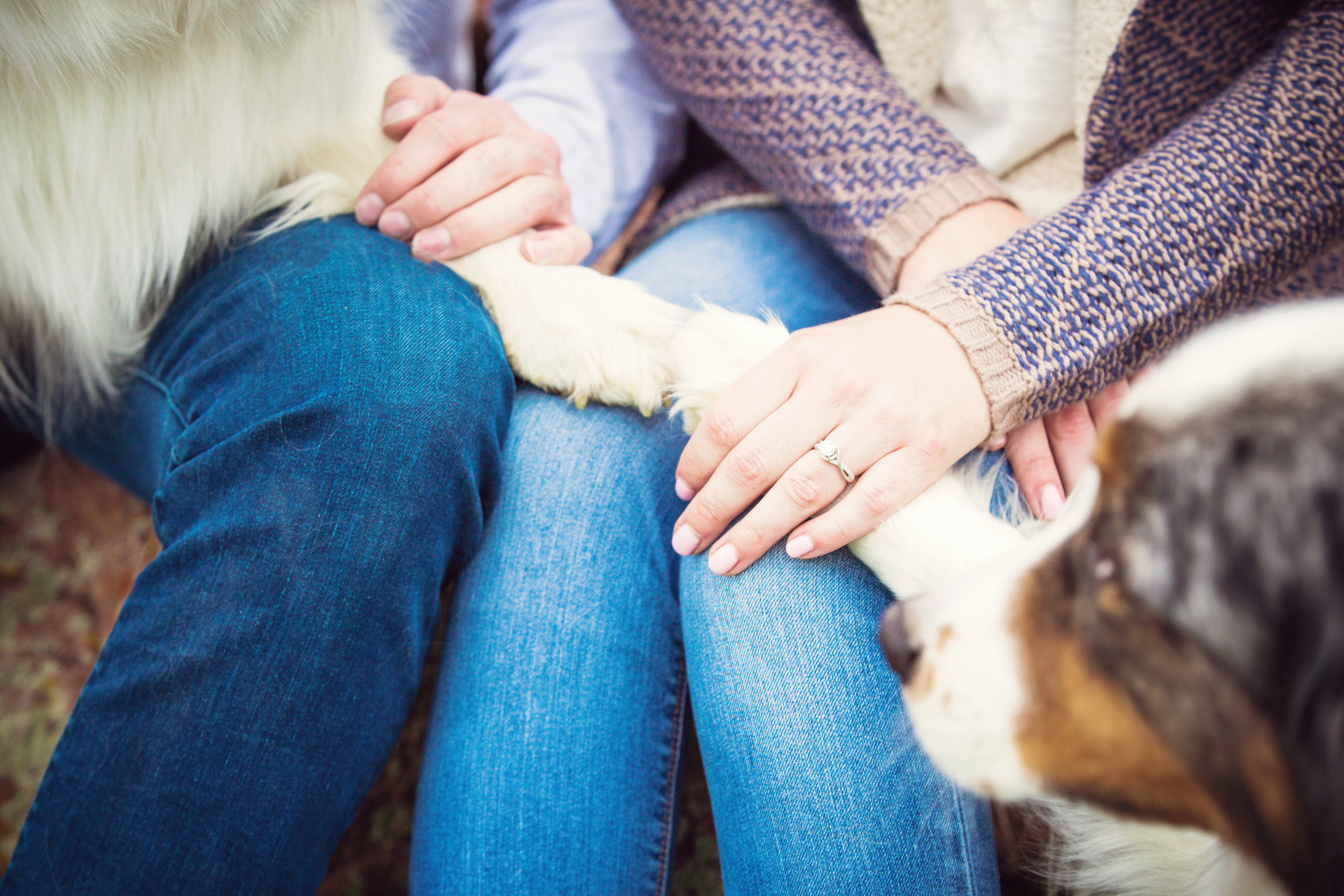 Engagement photos-6.jpg