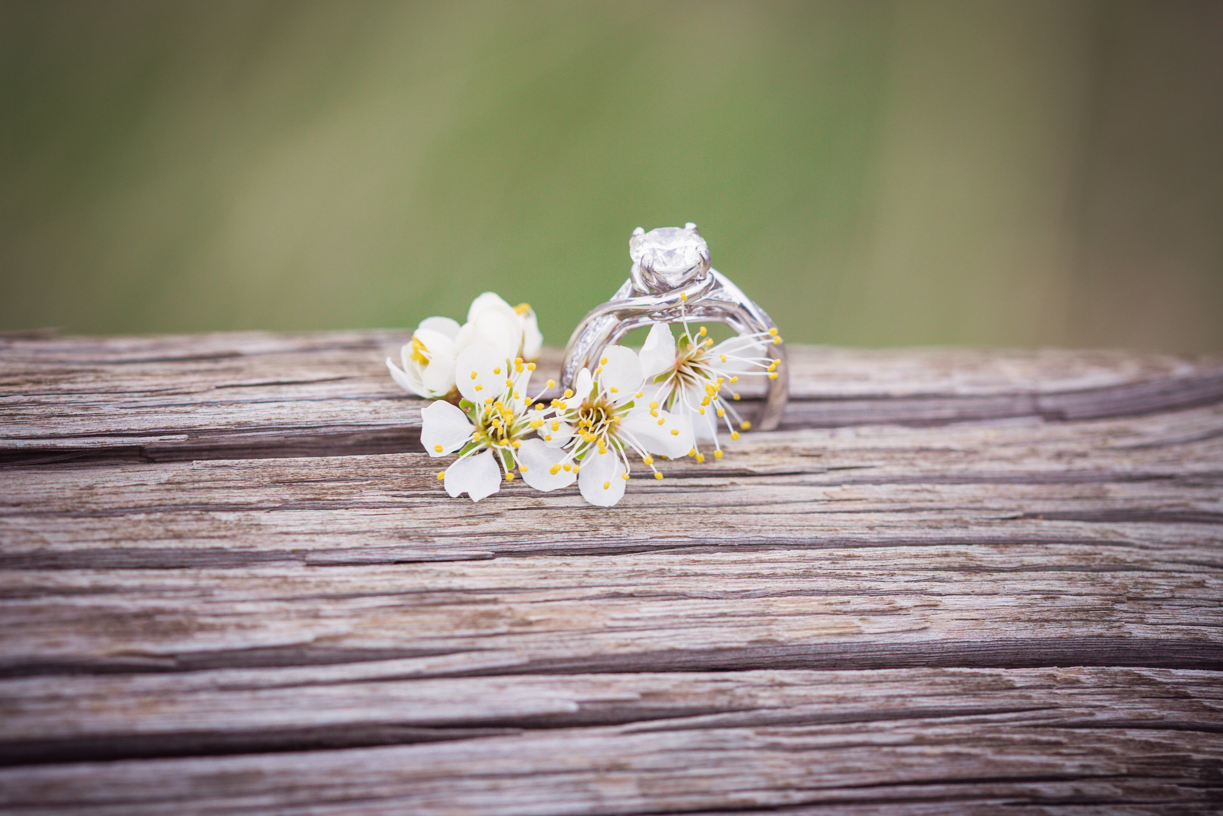 Engagement photos-10.jpg