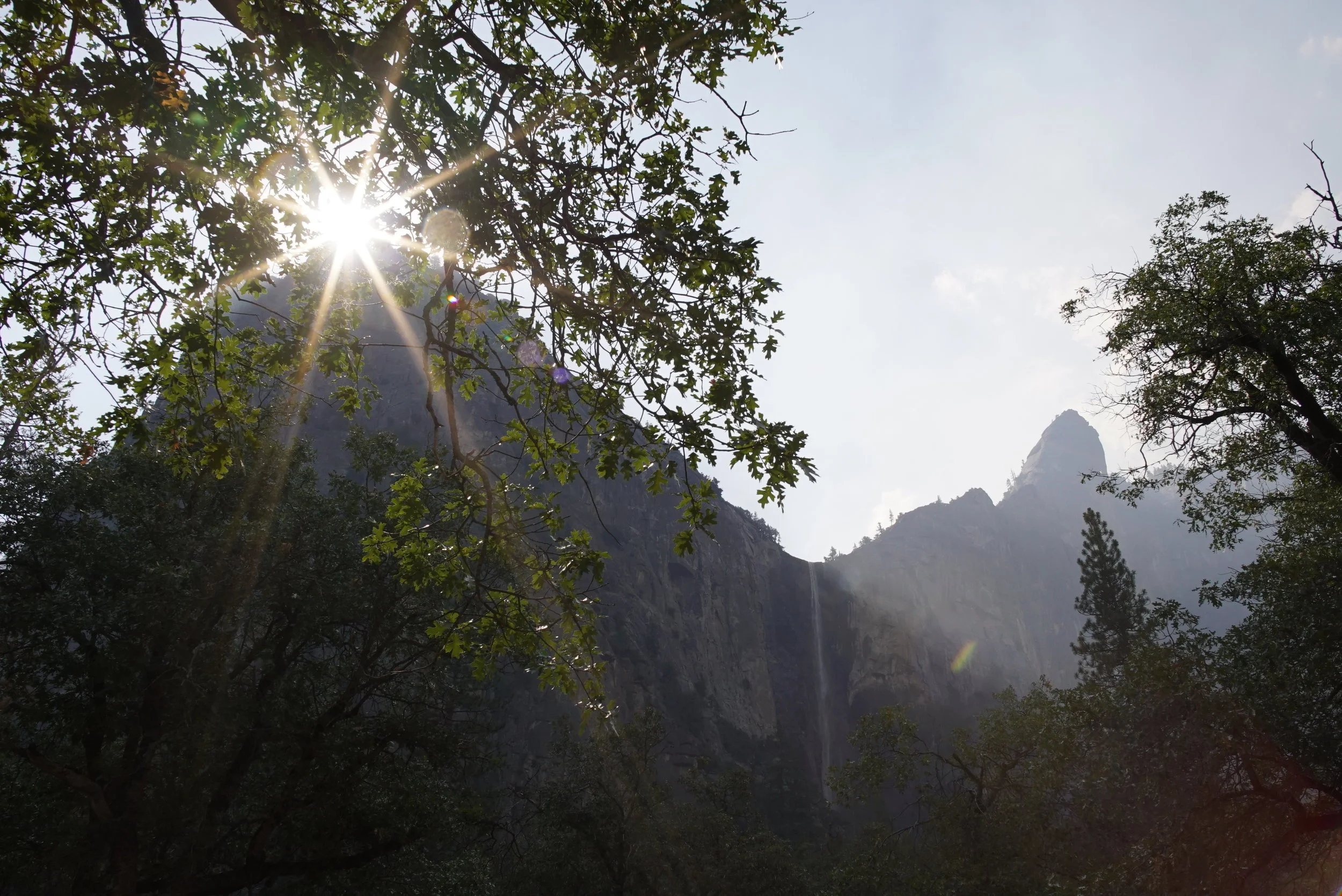 Standard Tees @ Yosemite NPS
