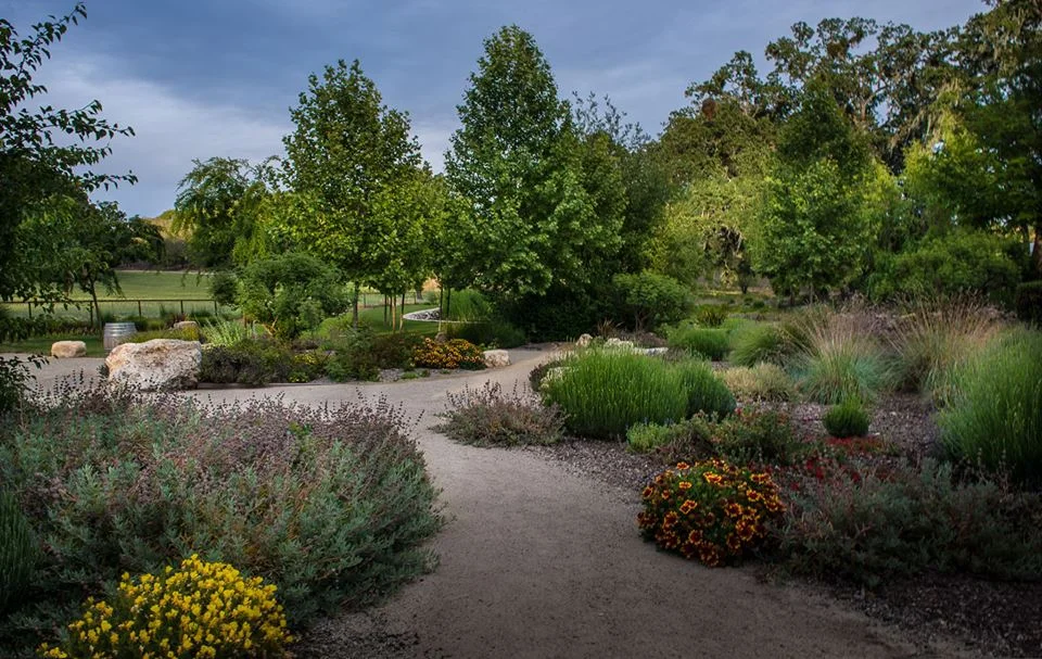 PHOTOS COURTESY OF AMY JOSEPH Recent rains have brought a dash of green lushness to Limerock Orchard in Paso Robles. This spring, gather a group and venture out to the tasting room, where you can tour walnut trees and taste the best that the Gonzales family has to offer.