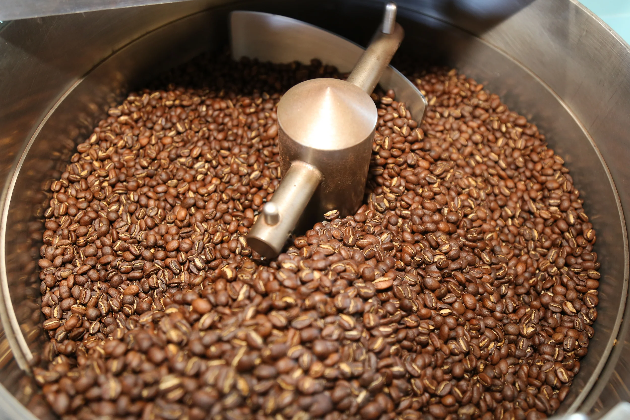 Caturra beans from Costa Rica’s Don Pepe-Finca La Trinidad farm show notes of chocolate; toastiness; warm, sweet spice; candied walnut; and gentle berry.