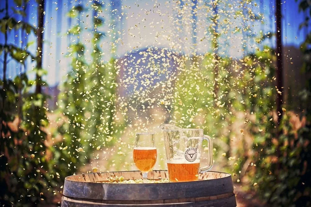 Torro Creek Brewing: Three brothers, one home grown beer