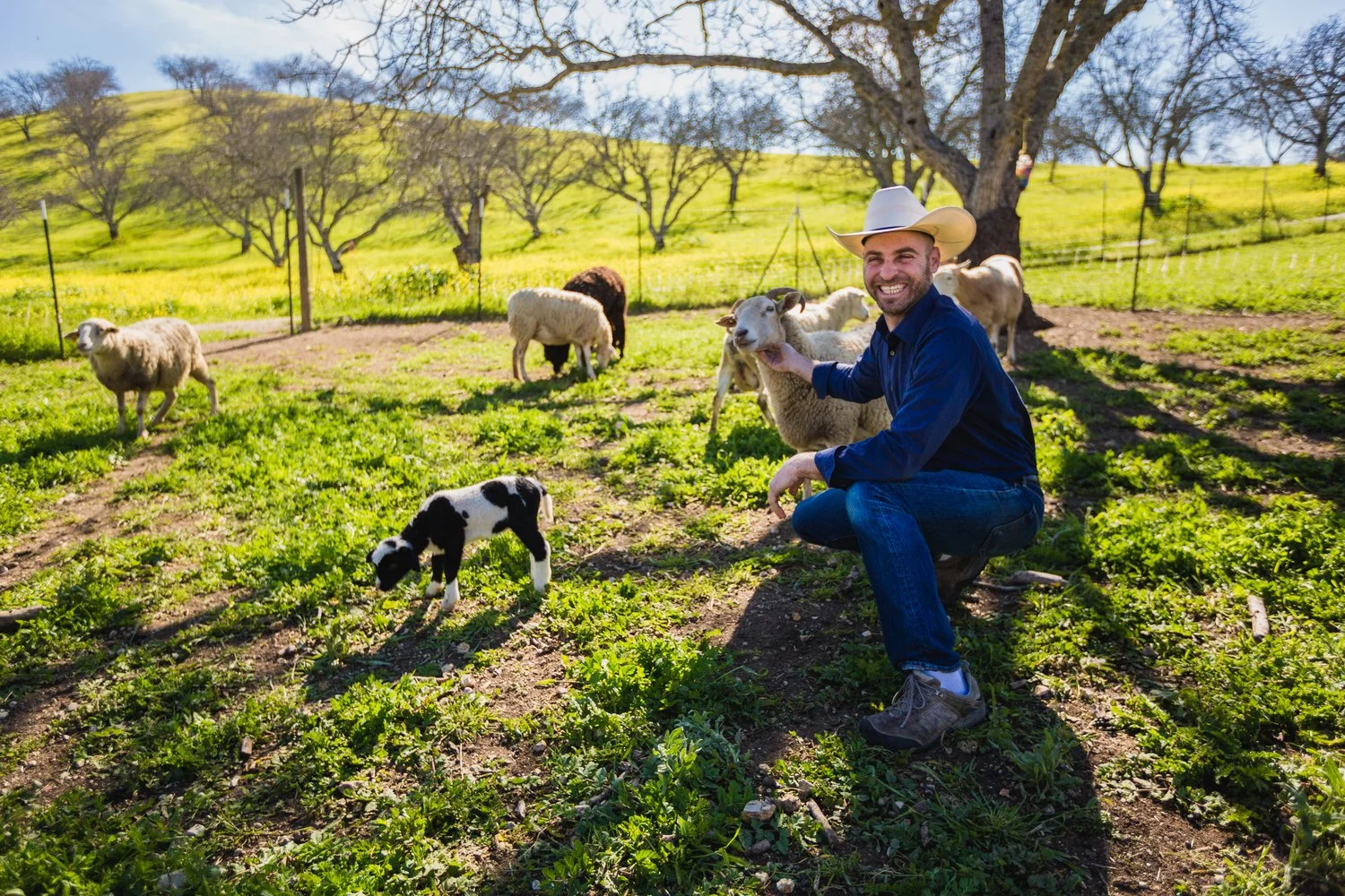 Adelaida Cellars harnesses the power of the flock to grow greener wines