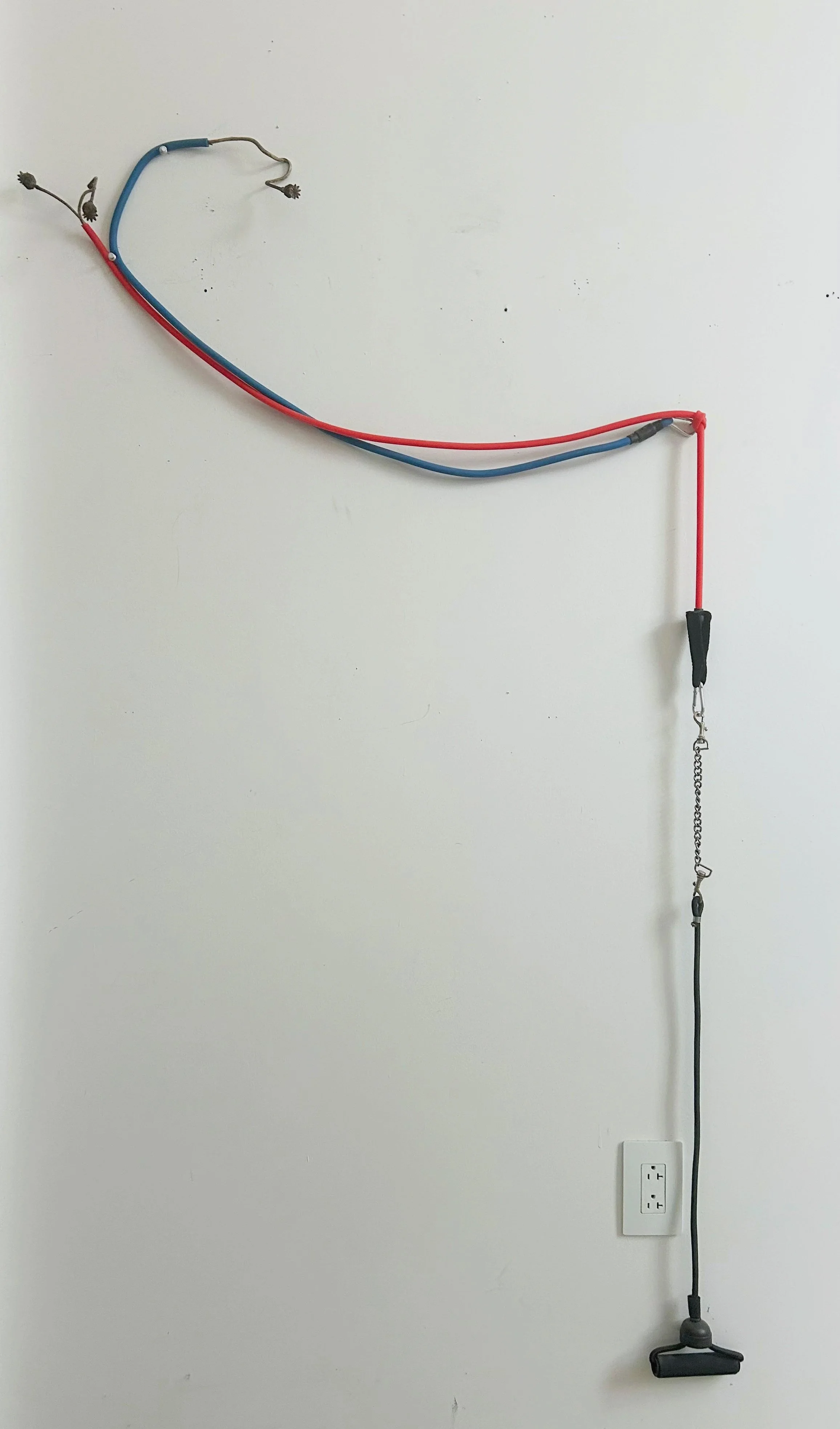 Mesolithic Reward Circuit, resistance bands, poppies, key chain, nails