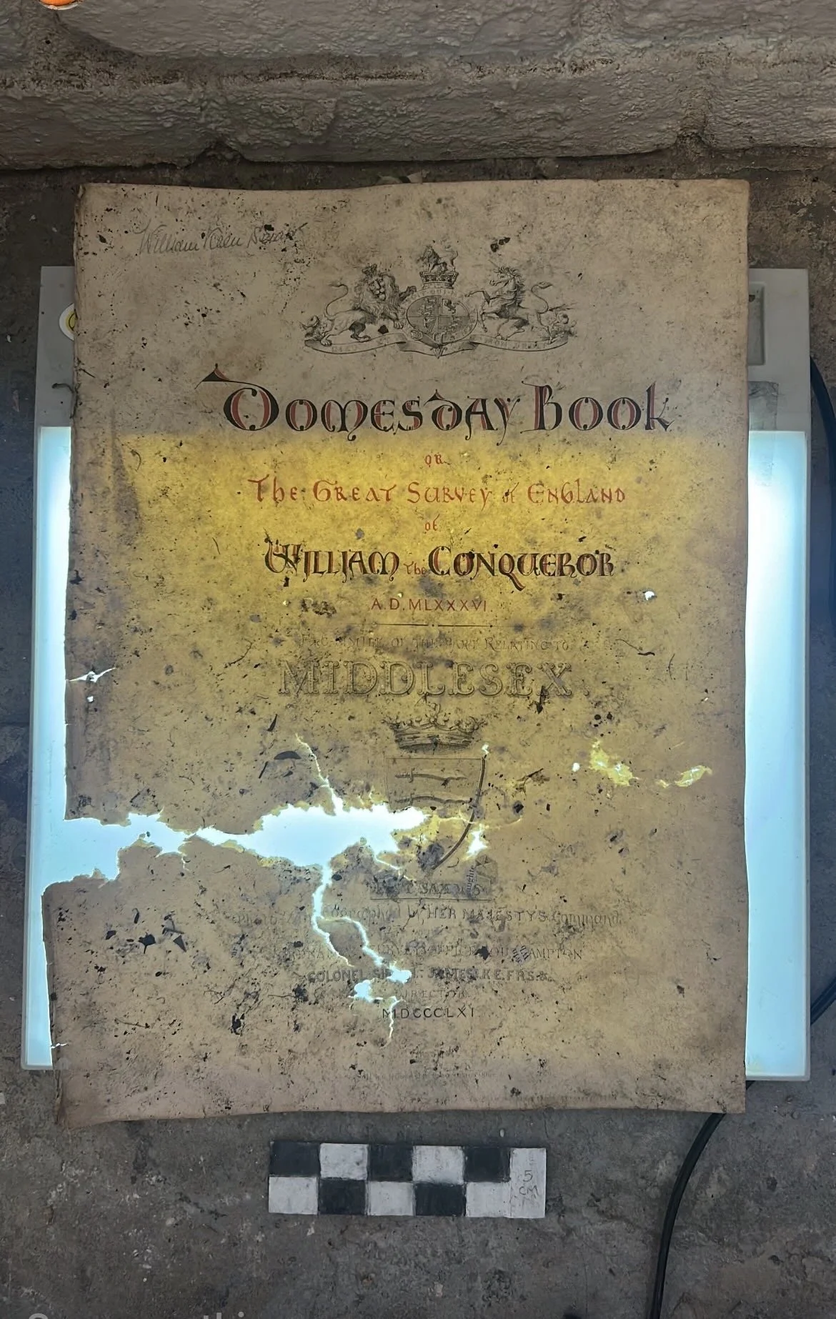 Doom/Law, page from Doomsday Book, oyster mushroom grain spawn, light box, cardboard, sharpie, paint