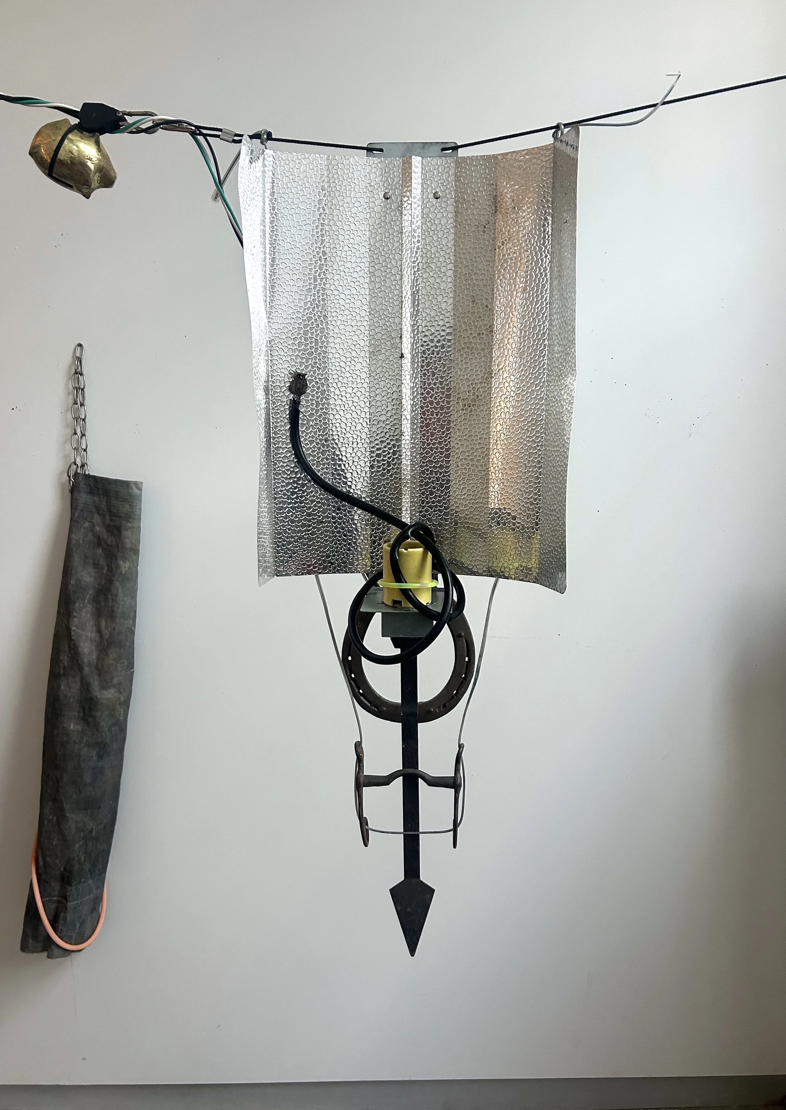 RADIANT SHIELD