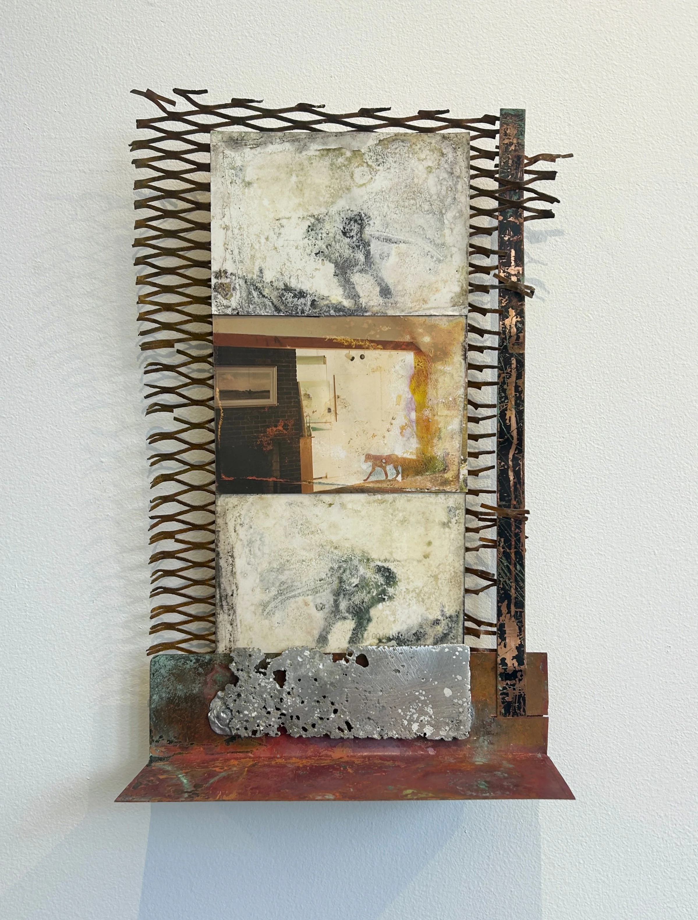 Two Dogs, family photographs, aluminum, rust, copper, scraps of zinc etching plates, steel reinforced resin, plywood