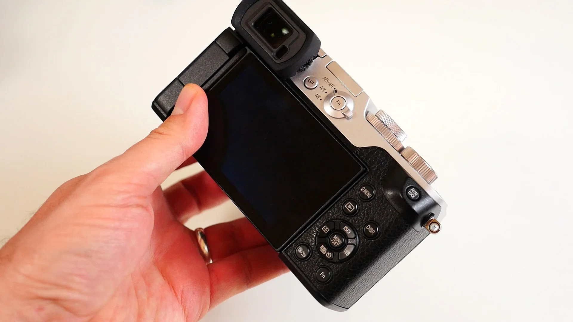 Lumix GX8 3.jpg