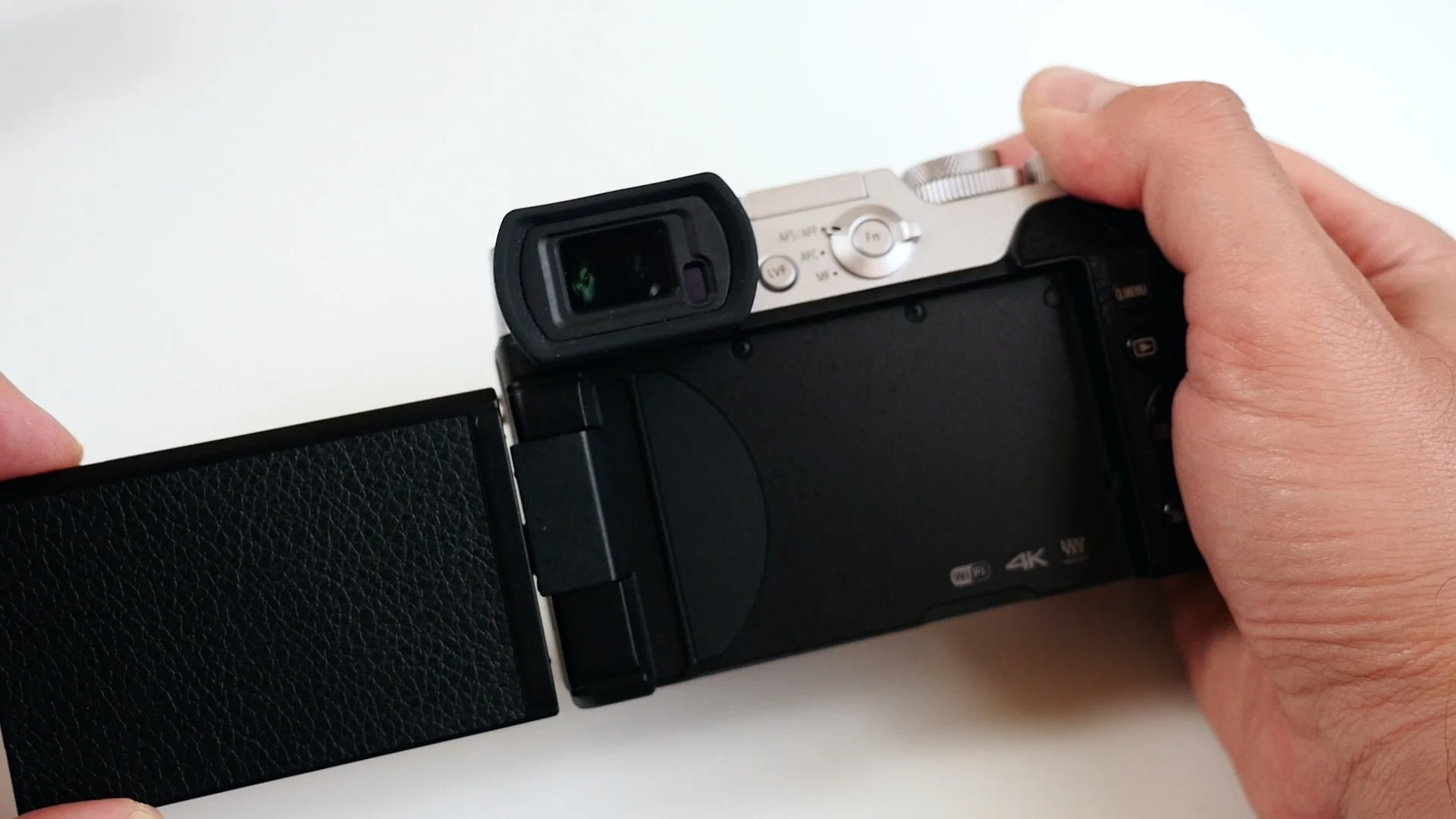 Lumix GX8 7.jpg