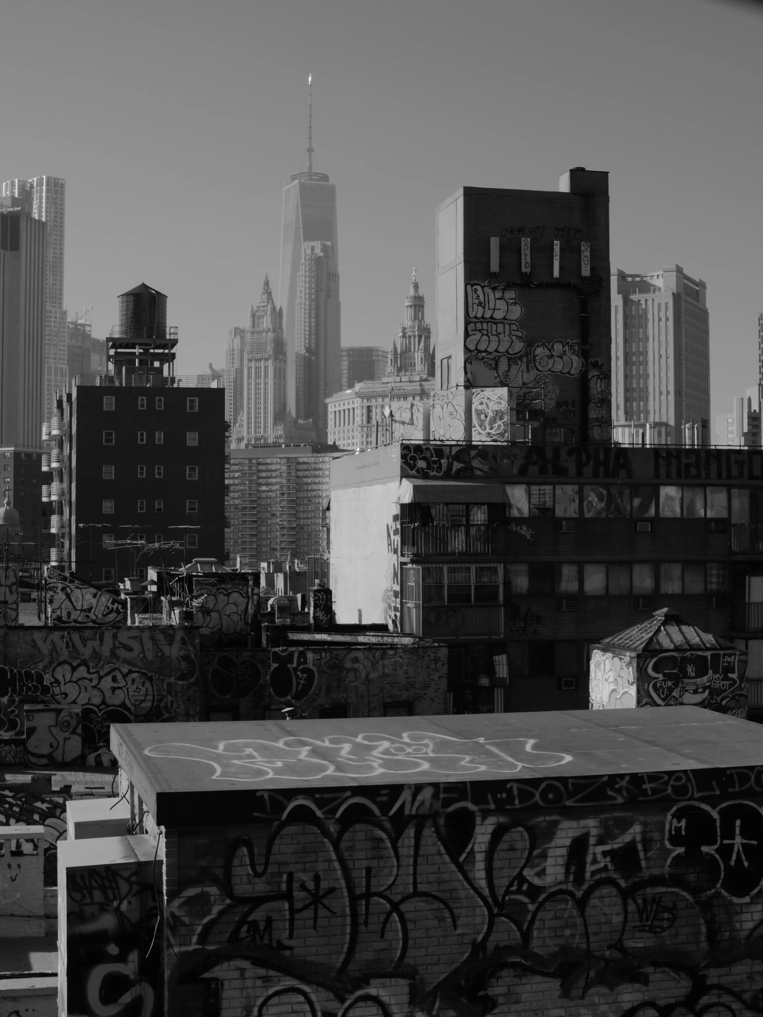 LUMIX GX8, Speedmaster 25 f/0.95