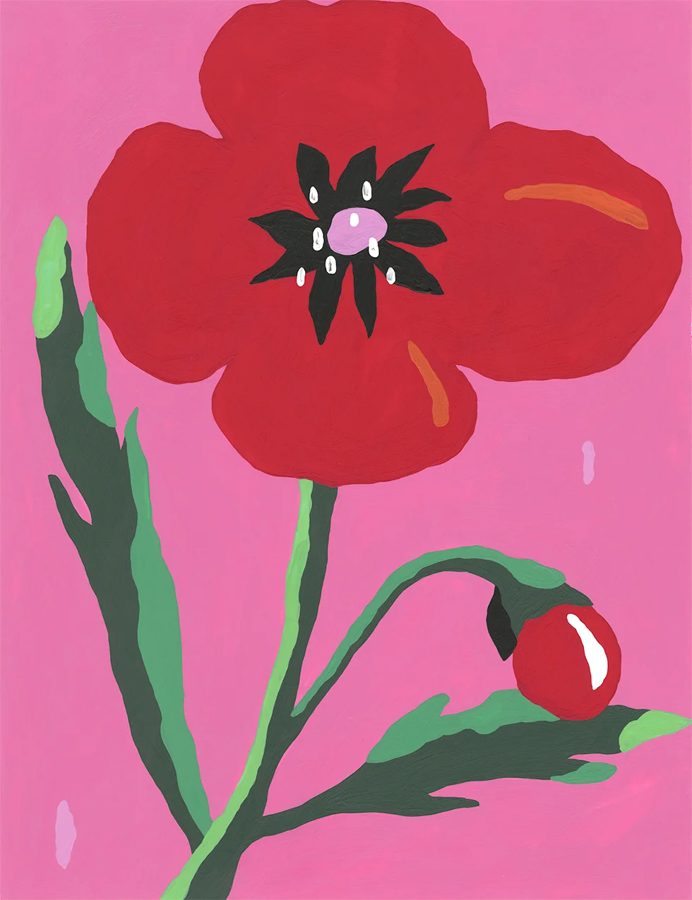 Flower.jpg