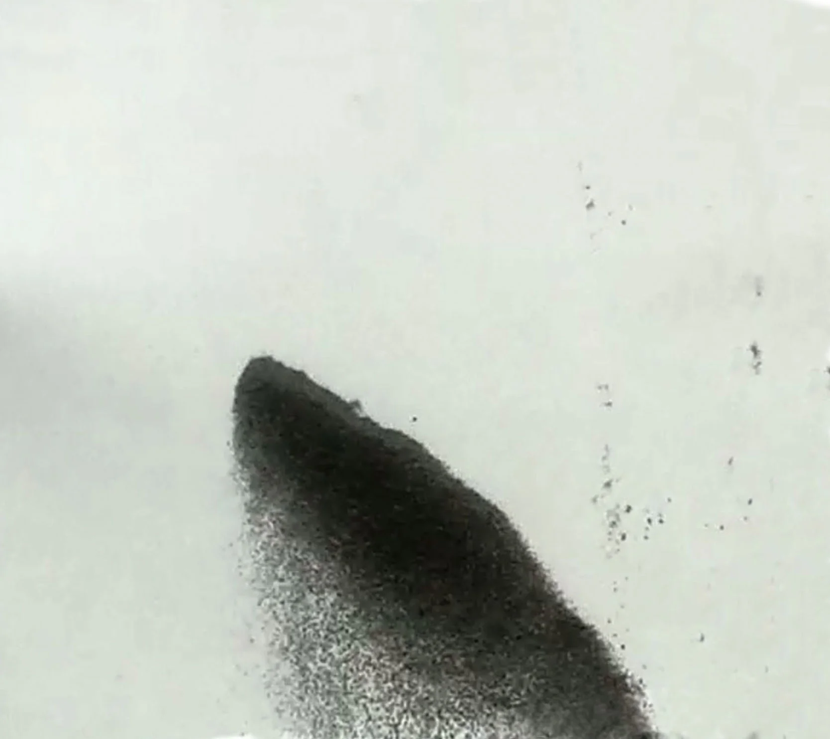 pic10.jpg