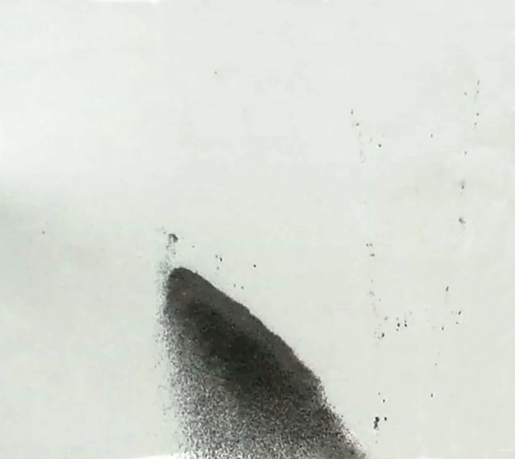 pic14.jpg