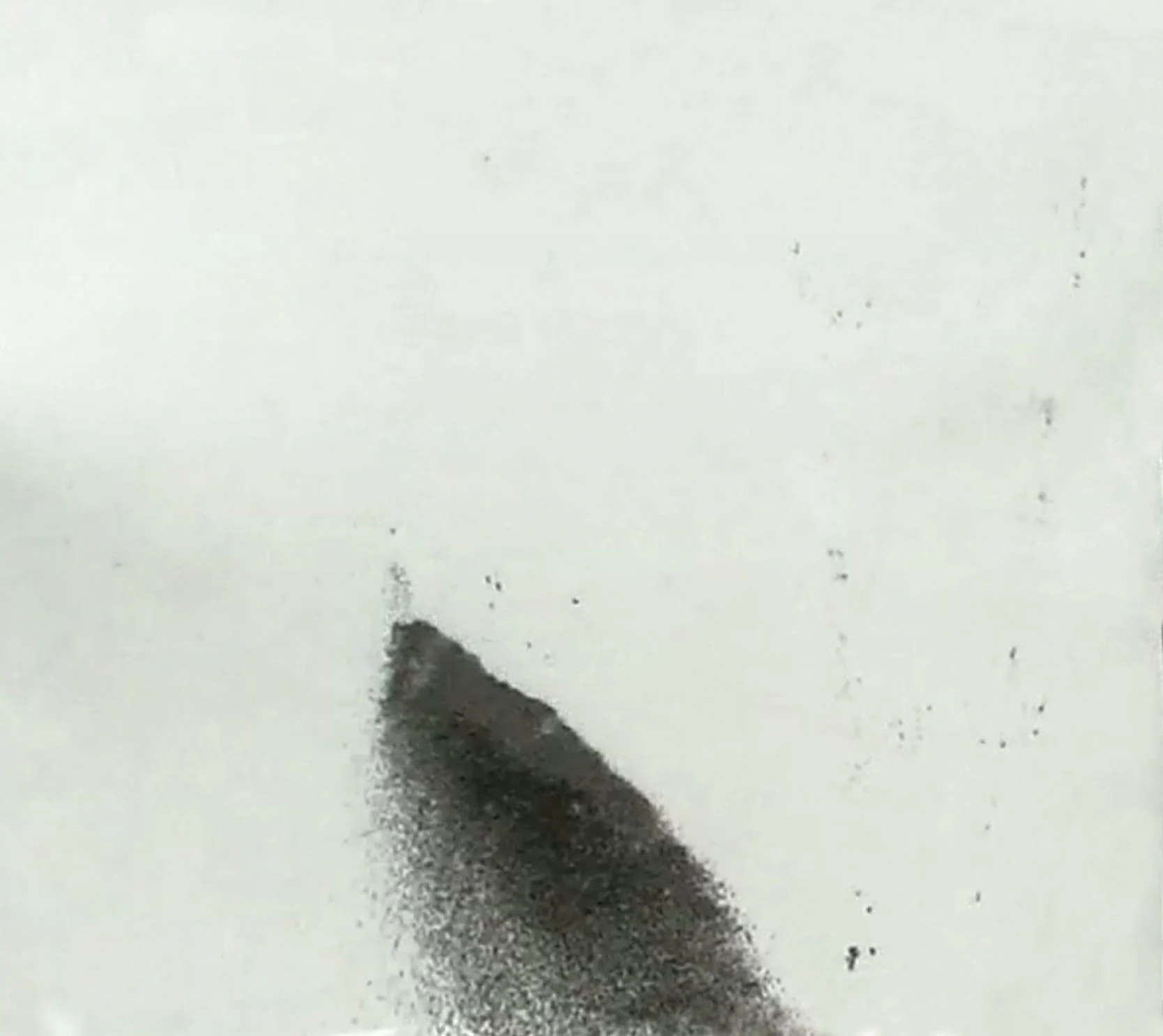pic15.jpg