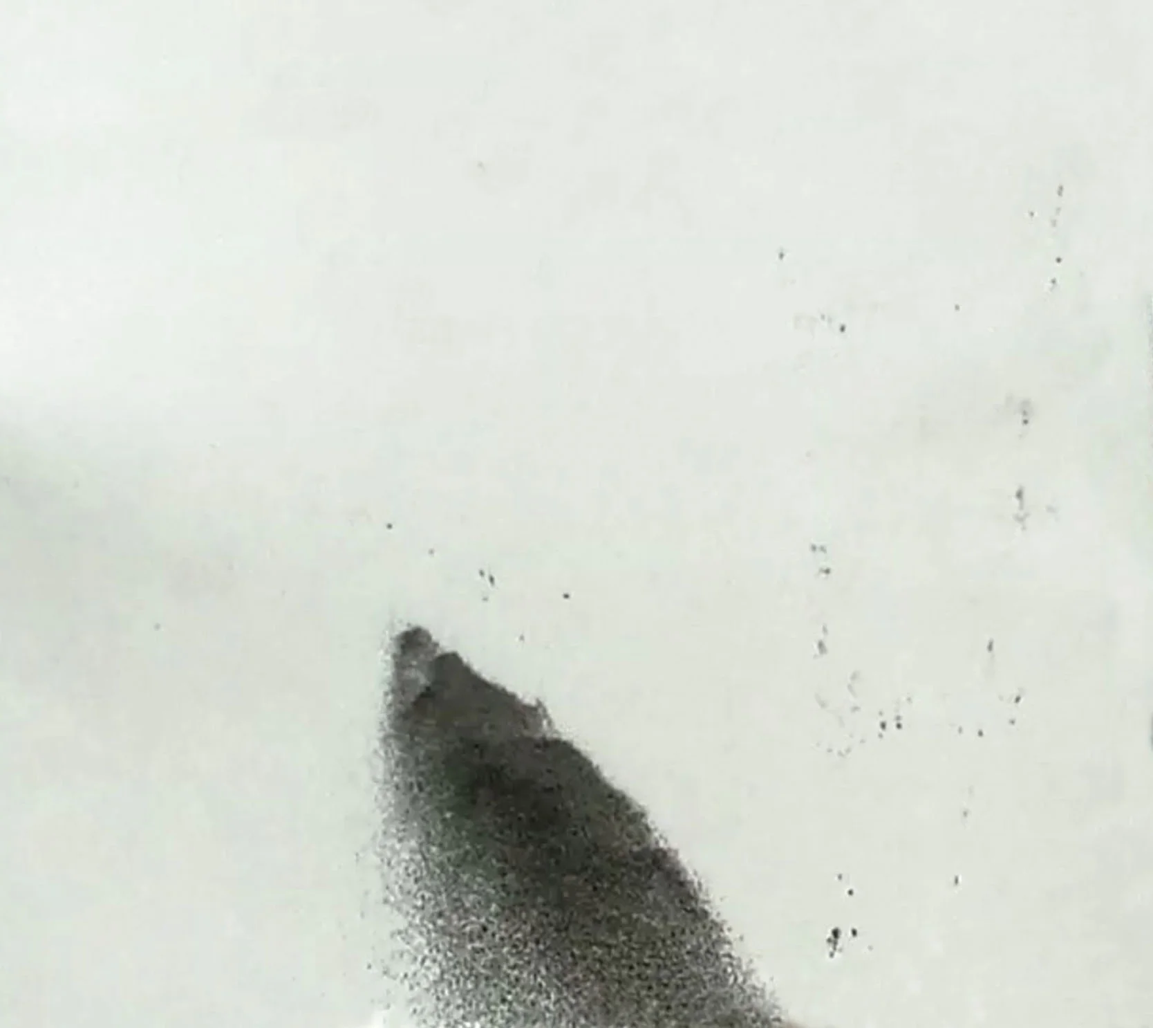 pic17.jpg