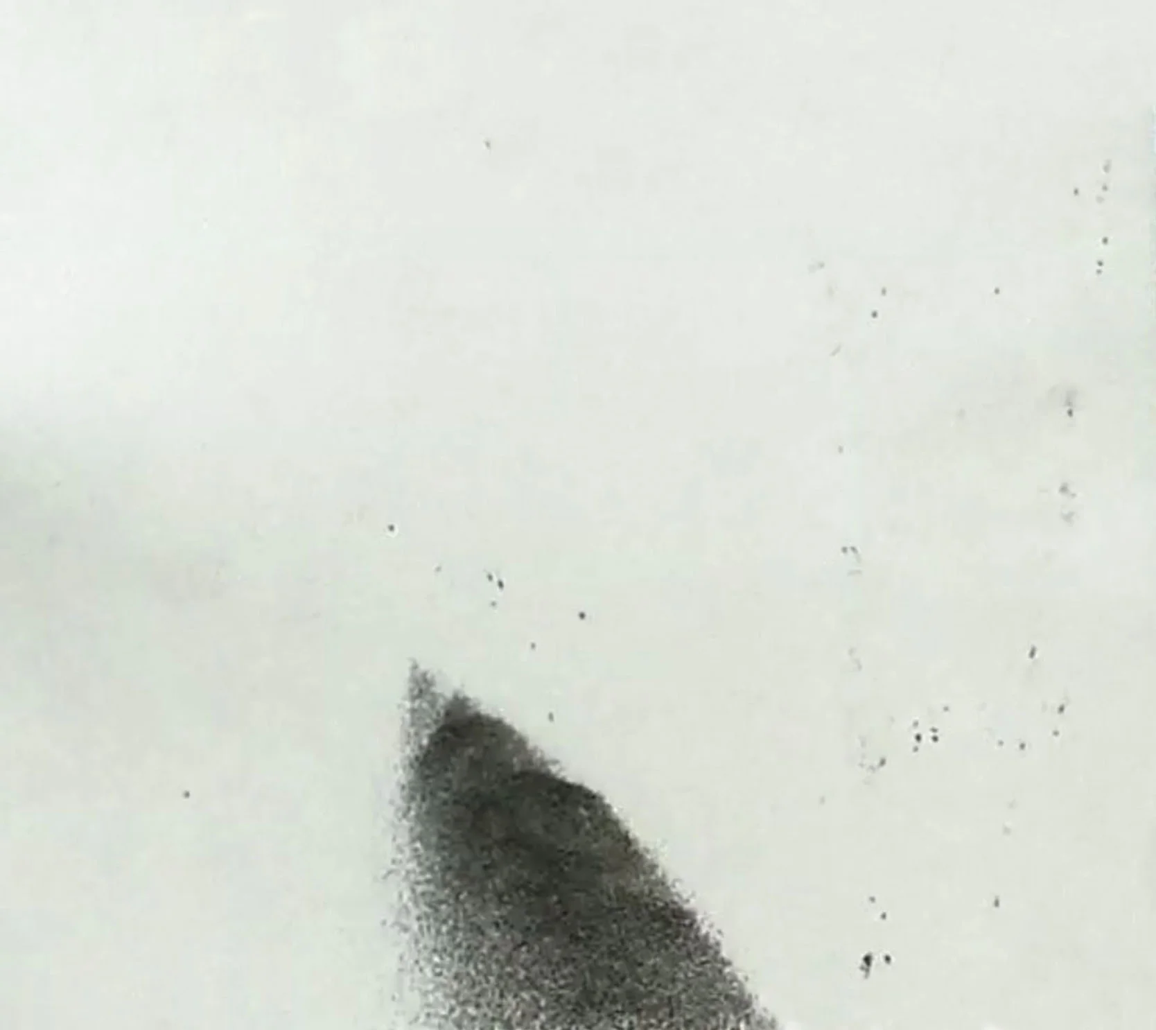 pic18.jpg
