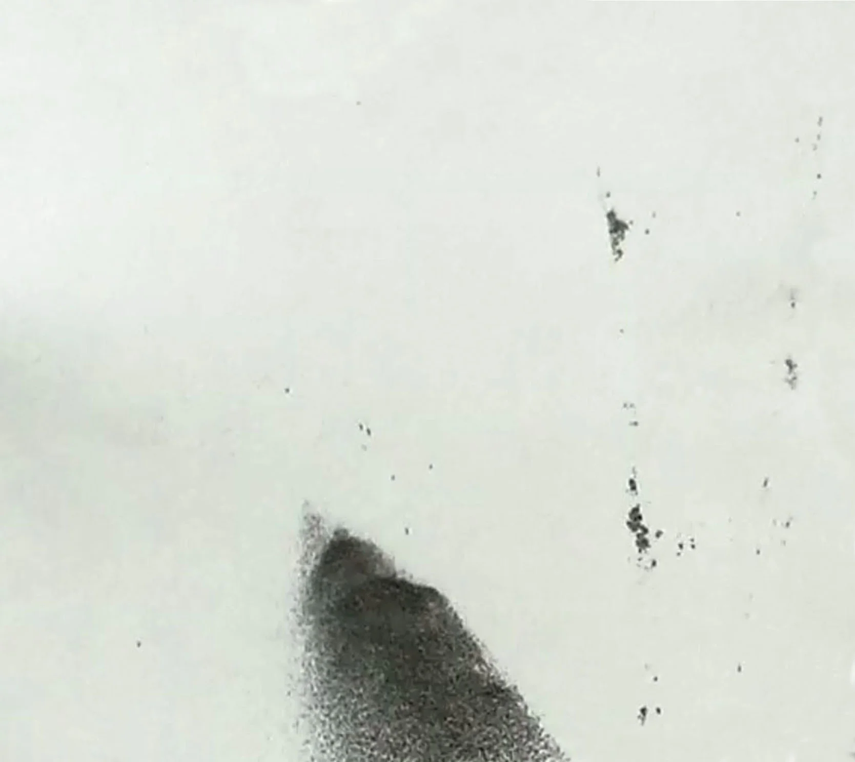 pic19.jpg