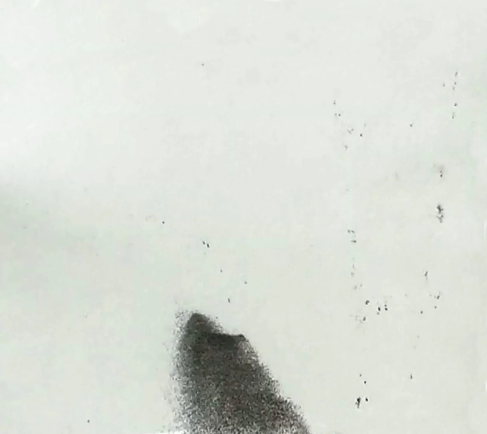 pic20.jpg