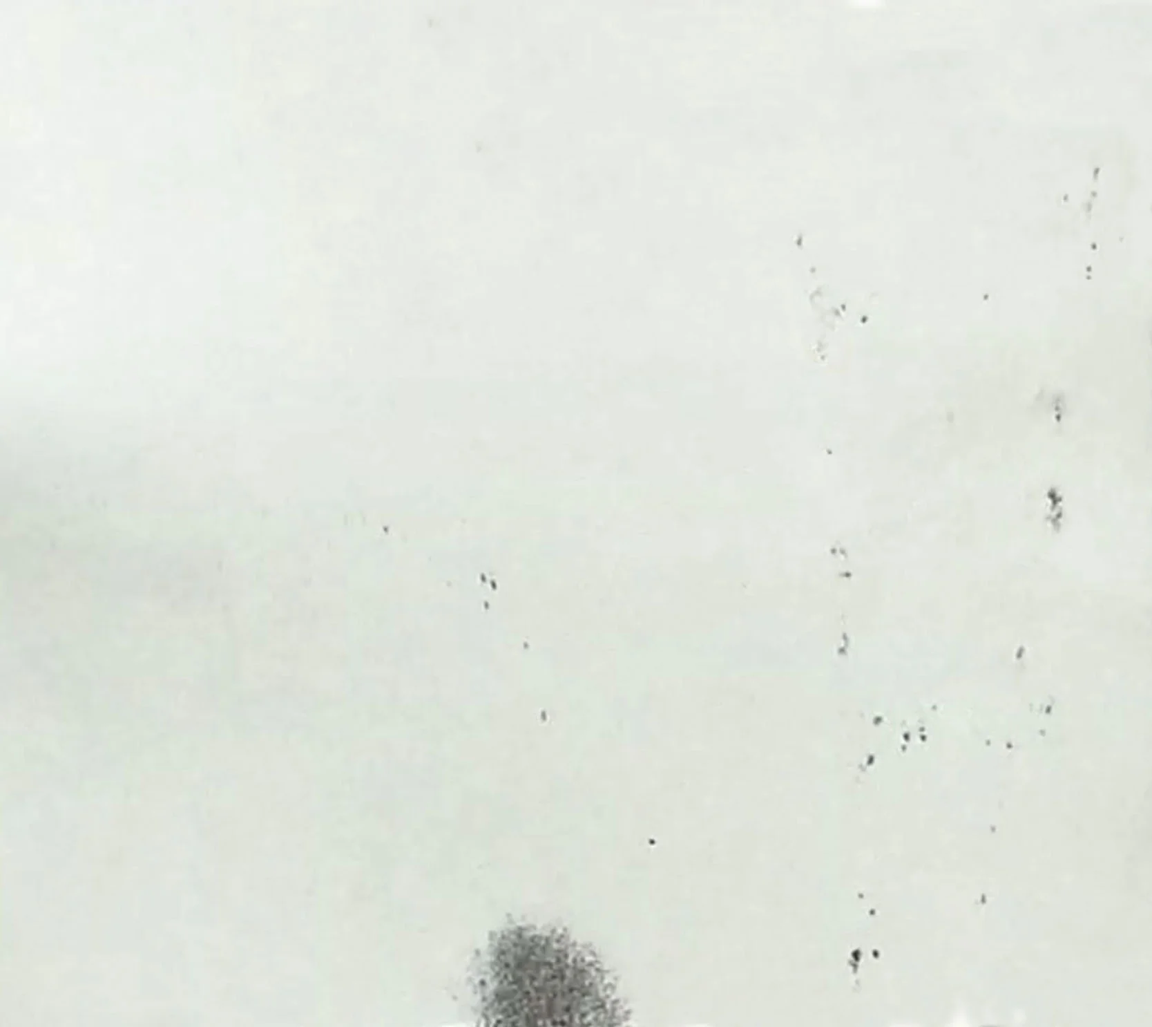 pic23.jpg