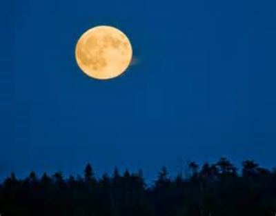 January - Moon of the Crackling Branches
