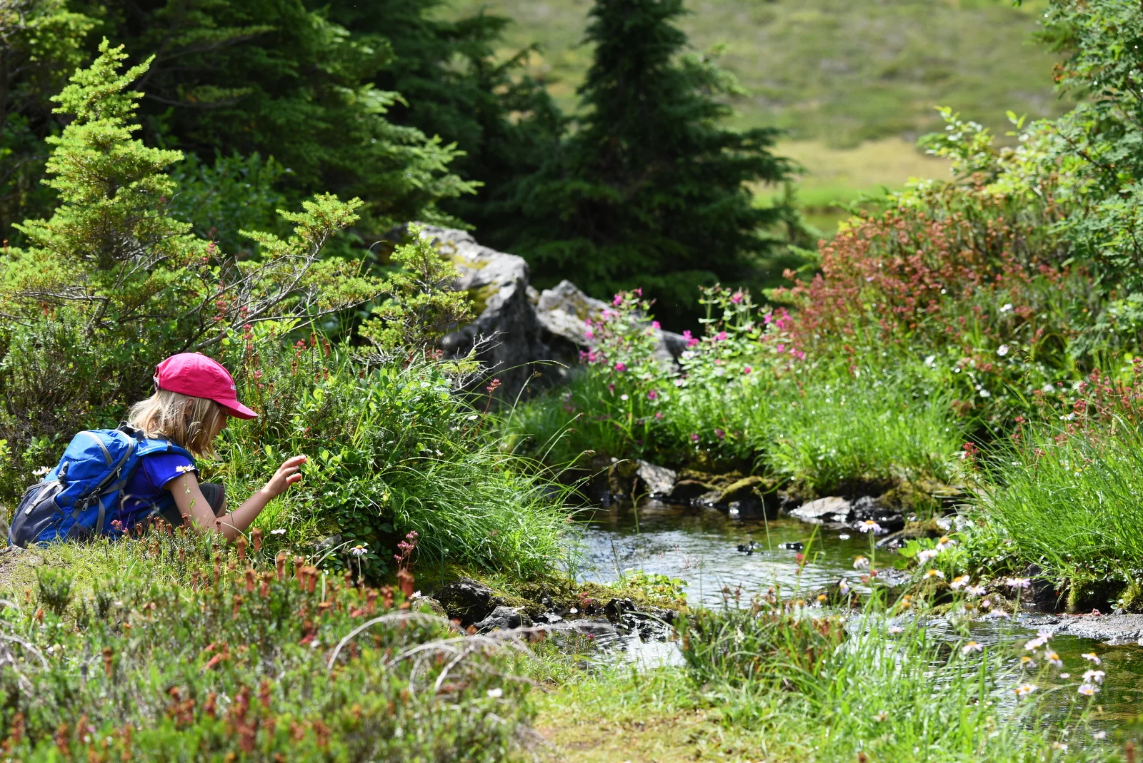 Chain_Lakes-Hiker2_3851.JPG