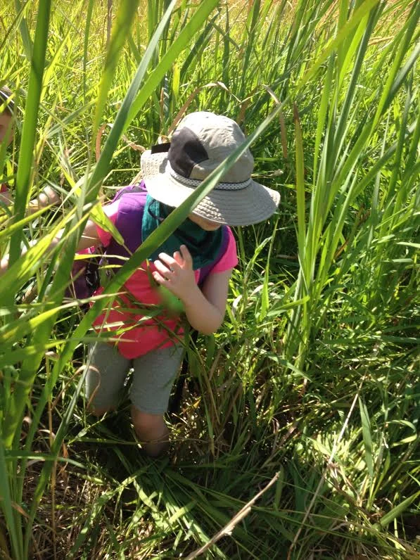 Marsh Mucking. Photo Credit: Holly Roger