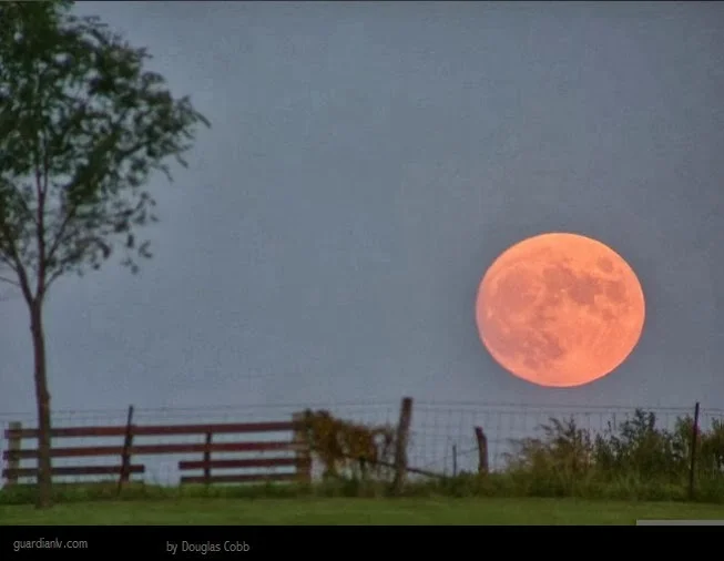 Photo: Bing Images