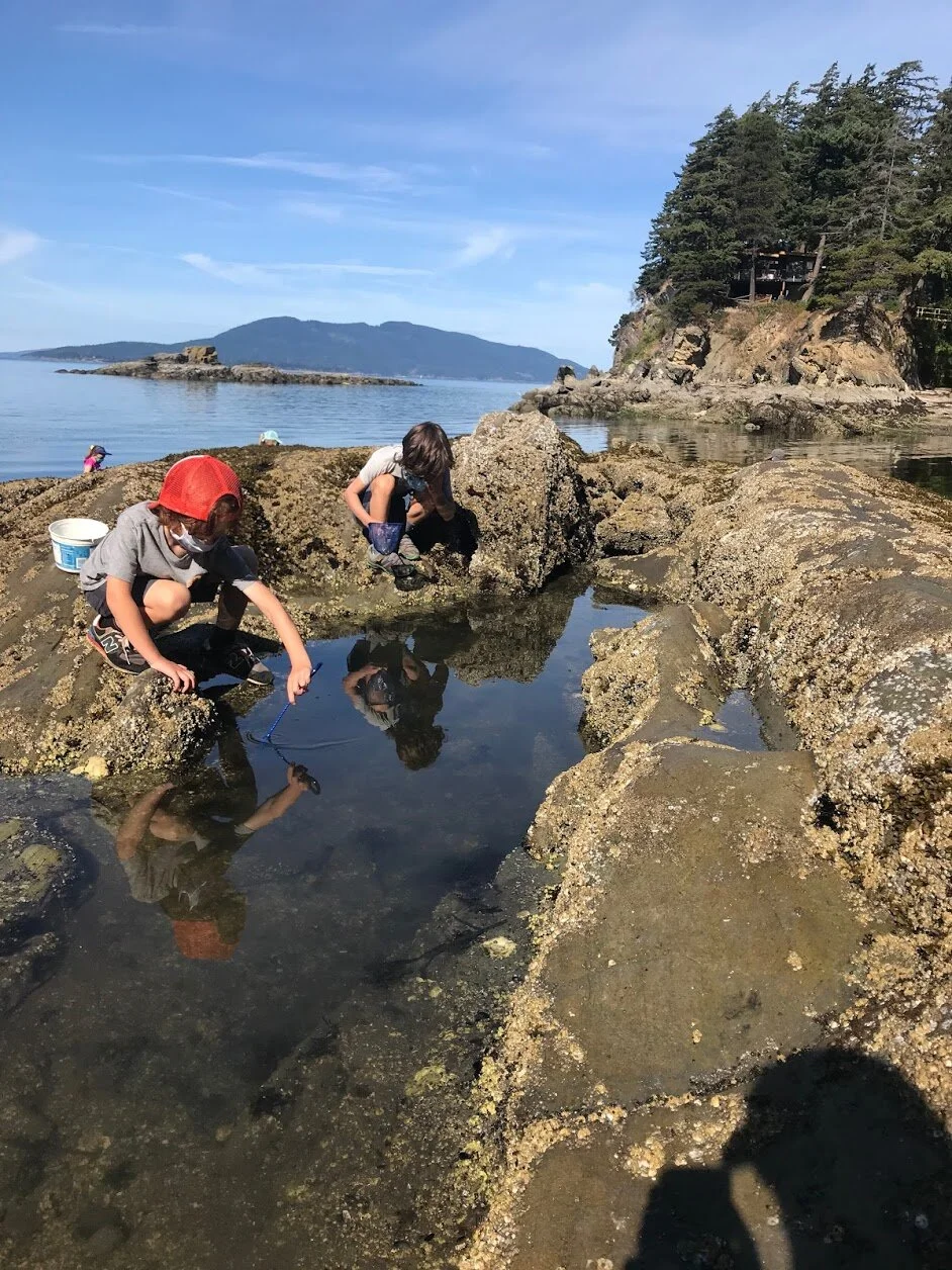 Summer Camps Wild Whatcom