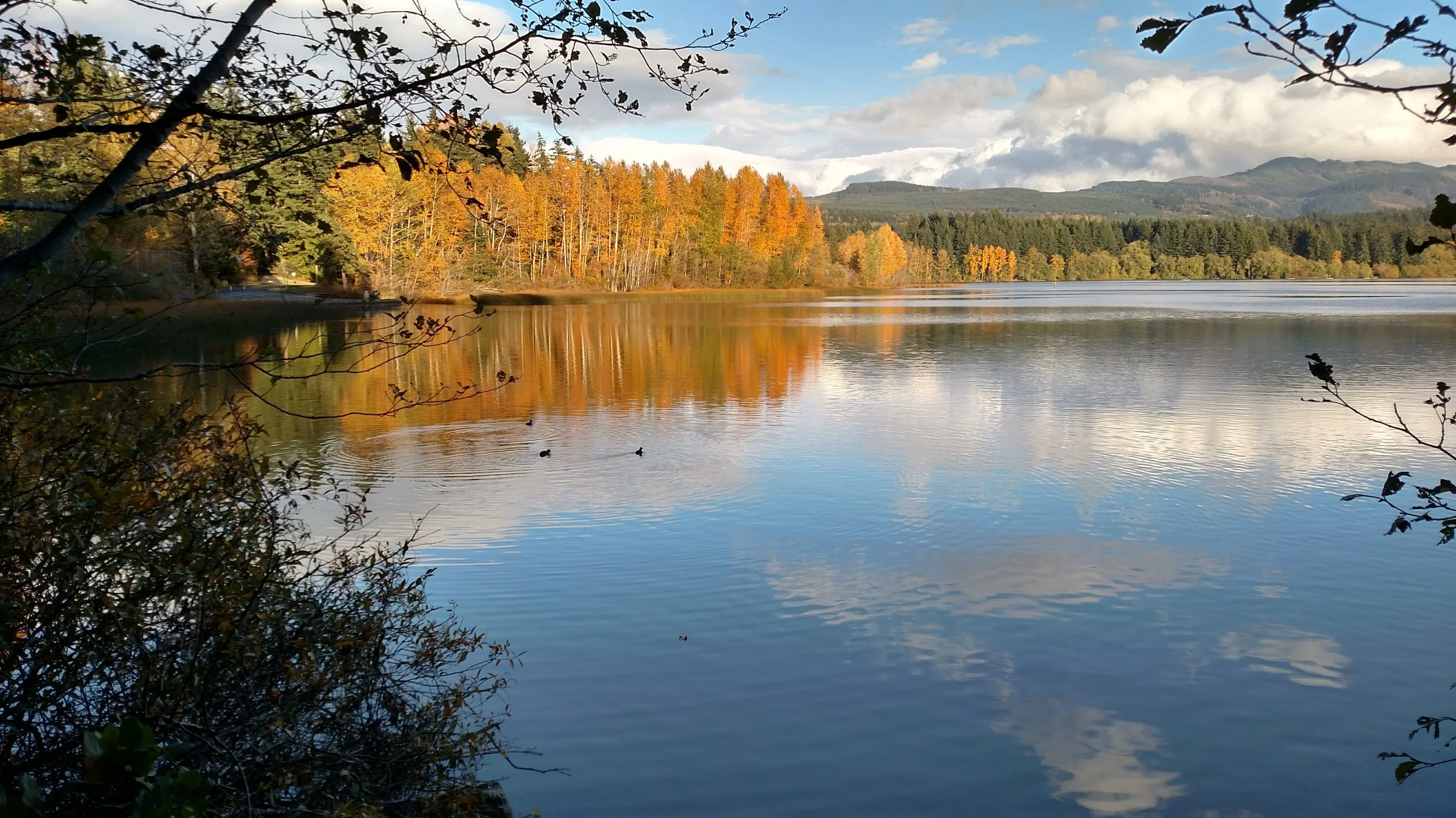 IMG_20161020_165207932_HDR.jpg