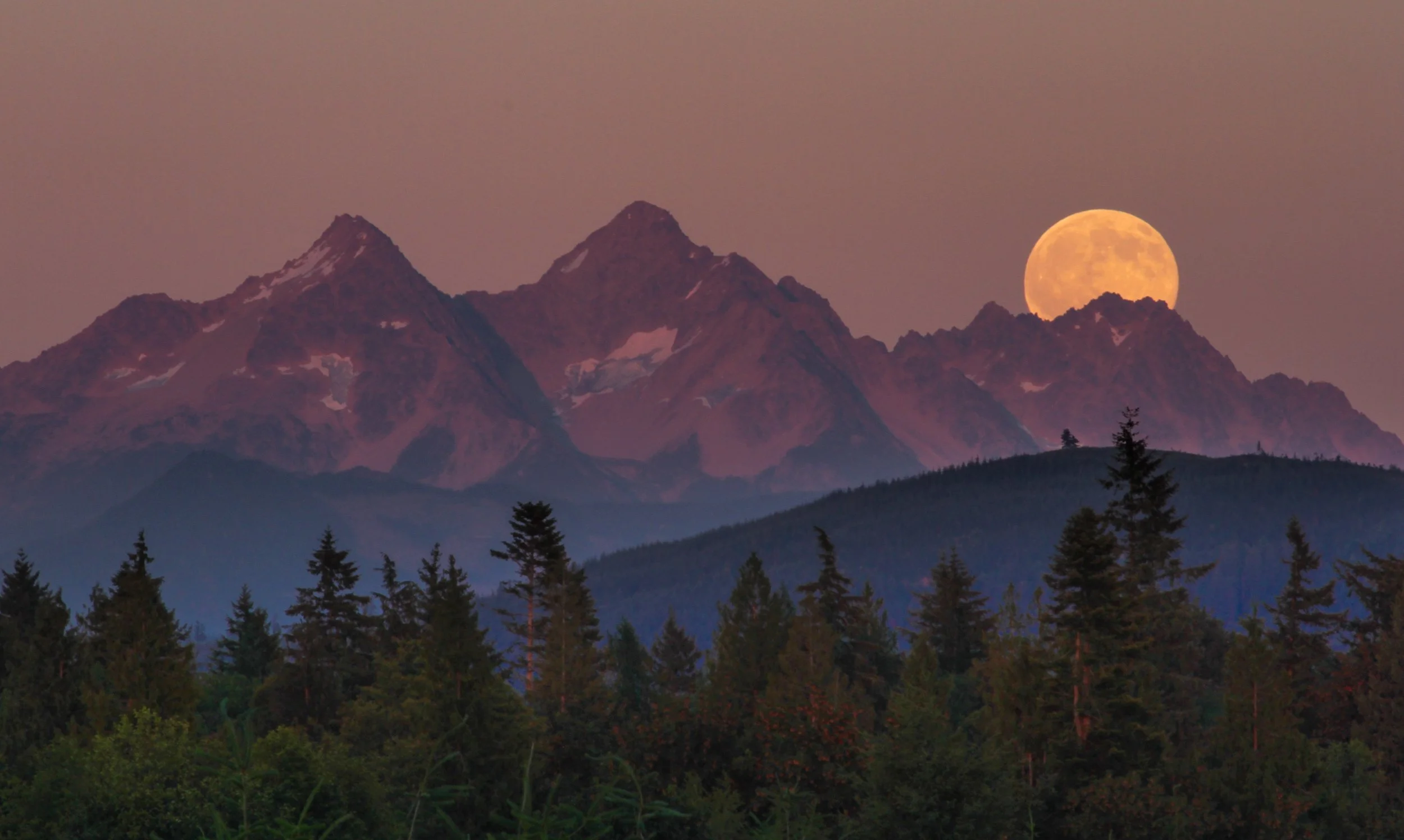 Ladies Night Out - Moon of Deep Snow