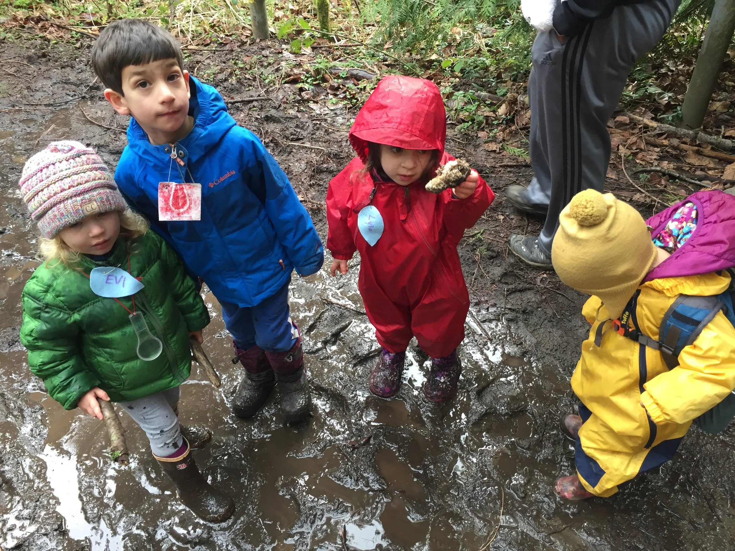 Wild Things - December at Connelly Creek Trail  